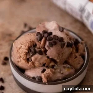 ninja creami protein ice cream in a bowl