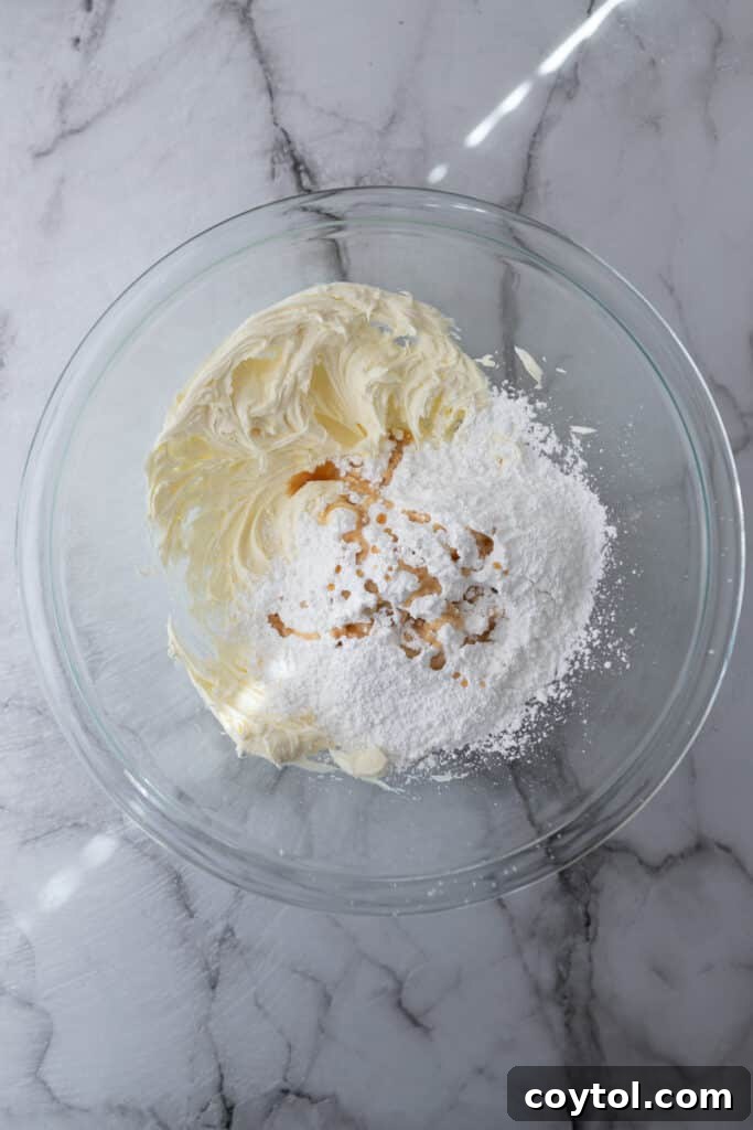 Unmixed ingredients in a bowl before starting the frosting process