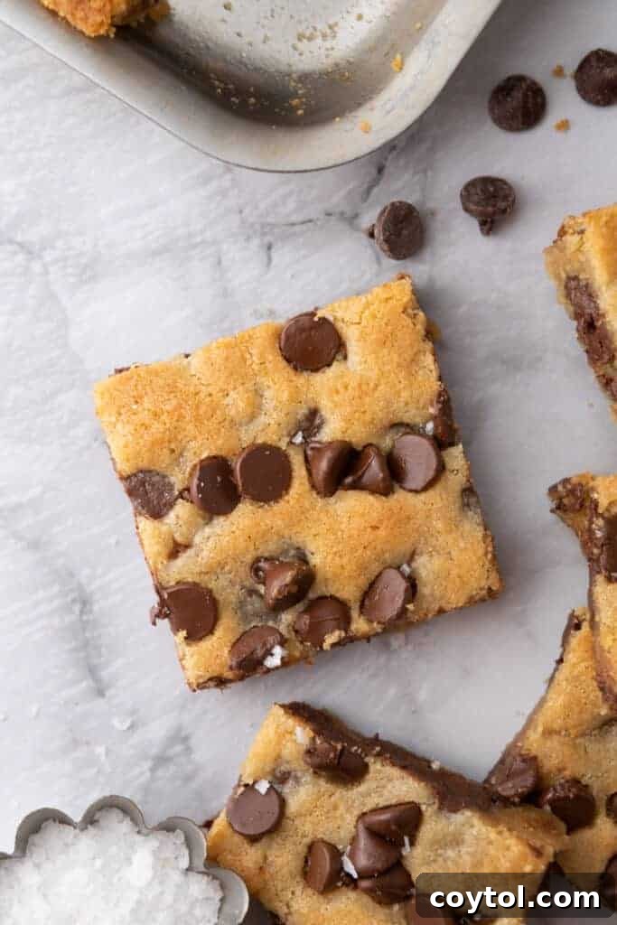 The Ultimate Soft and Chewy Nestle Toll House Cookie Bars 2 Delicious Nestle Toll House Cookie Bars Recipe, soft and chewy with melted chocolate