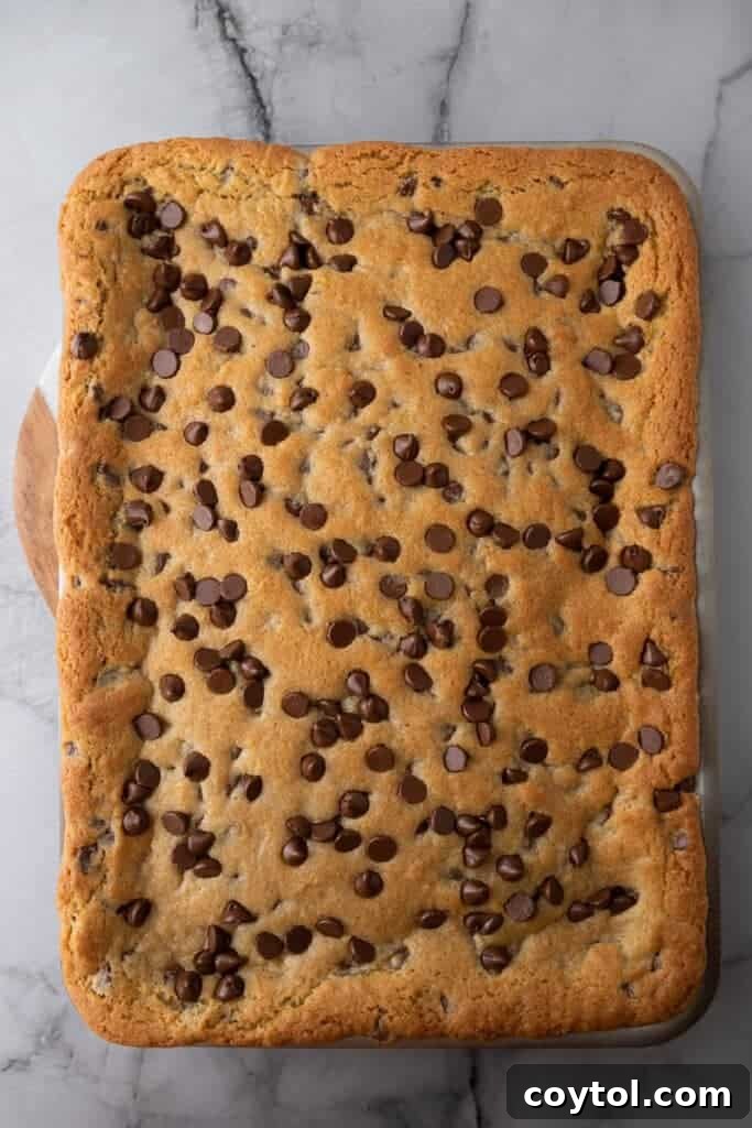 The Ultimate Soft and Chewy Nestle Toll House Cookie Bars 9 Golden brown chocolate chip cookie bars baking in a pan