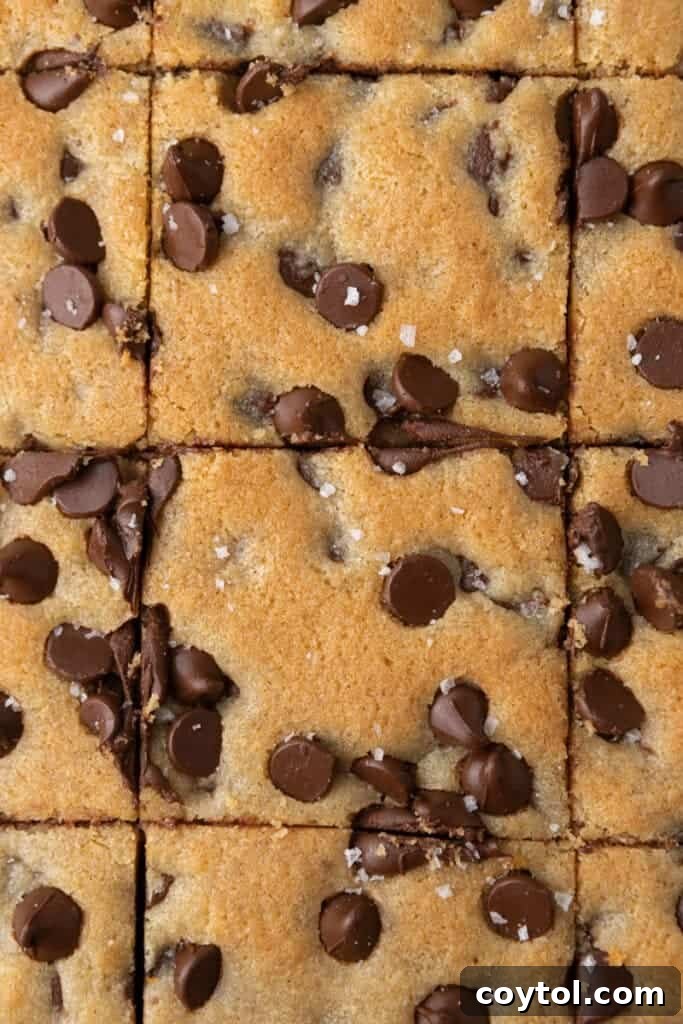 The Ultimate Soft and Chewy Nestle Toll House Cookie Bars 10 Close up view of soft and chewy chocolate chip cookie bars