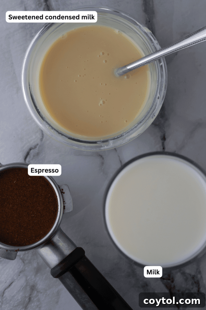 Easy Homemade Sweet Creamy Spanish Latte 3 spanish latte ingredients