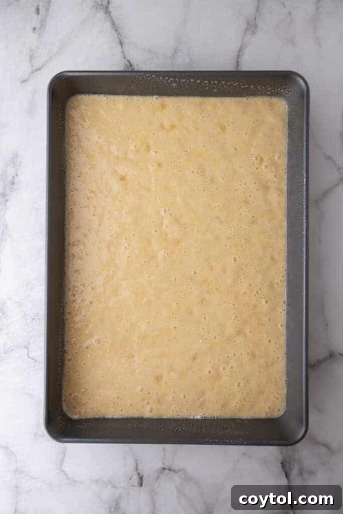 The unbaked Tornado Cake batter poured into the prepared baking pan, before entering the oven.