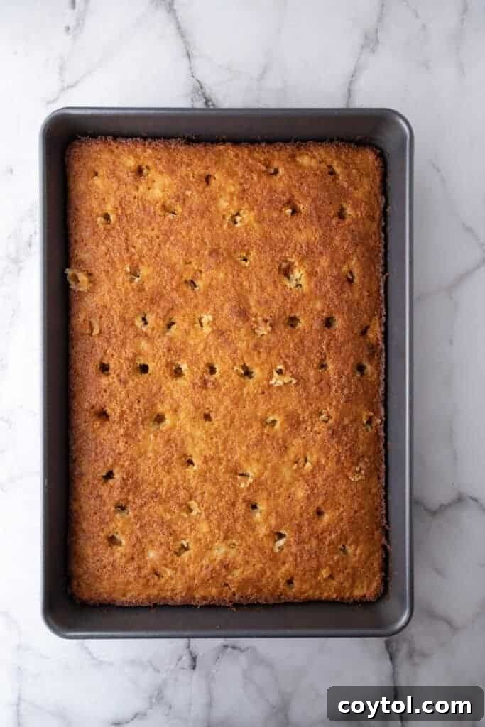 The freshly baked Tornado Cake still in its pan, exhibiting a golden-brown surface, just removed from the oven.