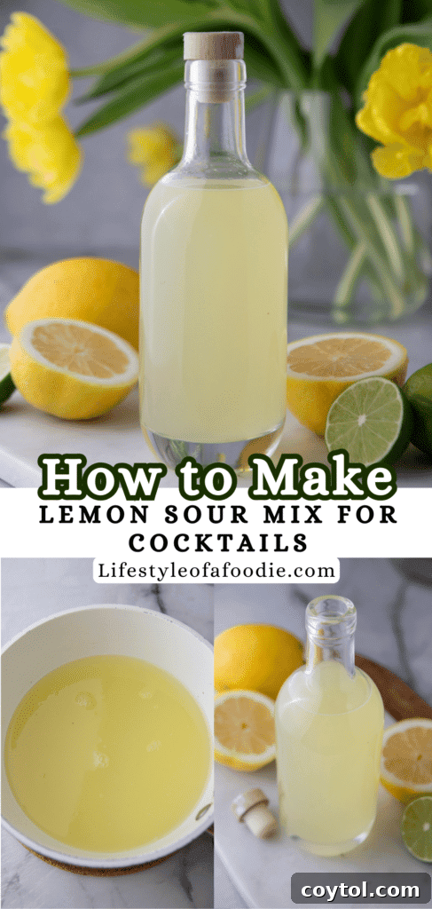Easy Homemade Lemon Sour Mix Recipe 10 Pinterest pin showing a bottle of homemade lemon sour mix with fresh lemons and limes.