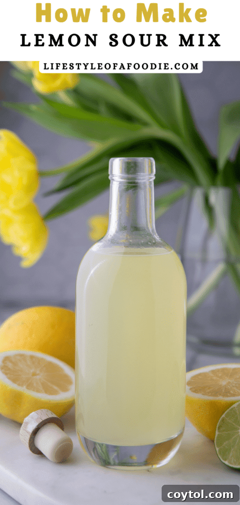 Easy Homemade Lemon Sour Mix Recipe 11 Another Pinterest pin featuring homemade lemon sour mix, ready for cocktail making.