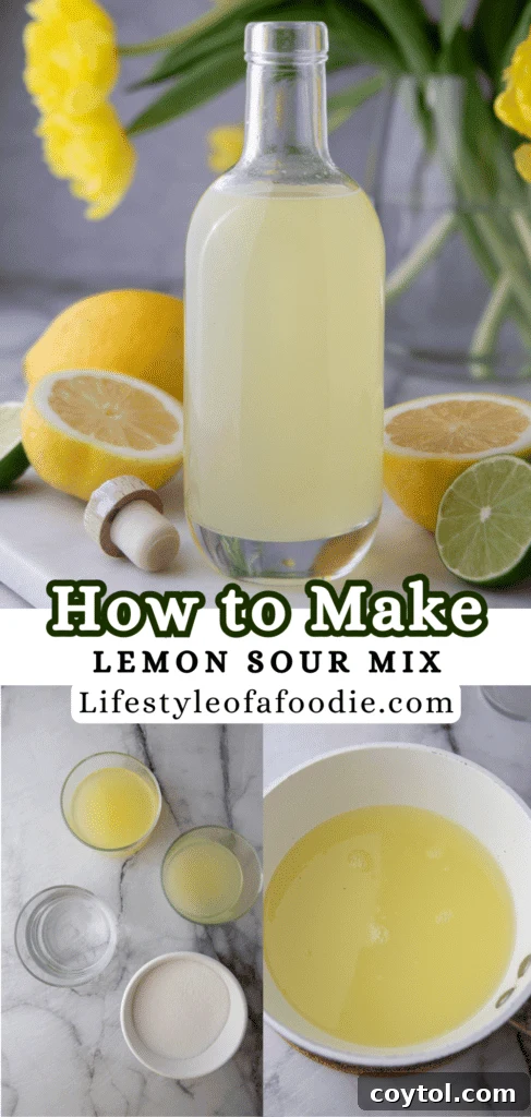 Easy Homemade Lemon Sour Mix Recipe 12 A third Pinterest pin showcasing the fresh ingredients and final product of lemon sour mix.