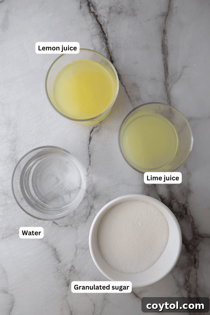 Easy Homemade Lemon Sour Mix Recipe 3 Fresh lemons, limes, sugar, and water laid out as ingredients for homemade lemon sour mix.