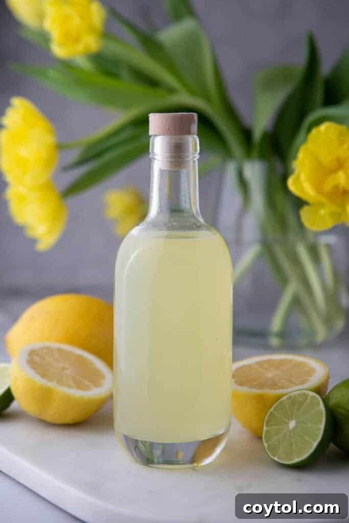 Easy Homemade Lemon Sour Mix Recipe 8 A handcrafted bottle of homemade lemon sour mix on a rustic wooden surface, with fresh lemons and limes scattered around.