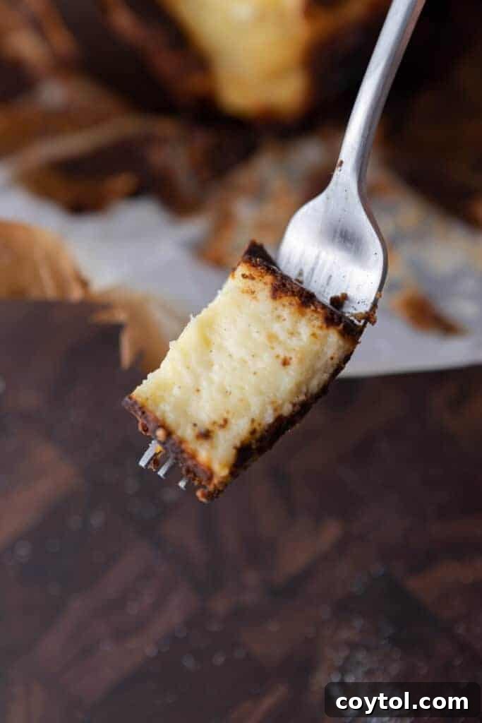 A delicious piece of 6-inch burnt Basque cheesecake held on a fork, ready to be eaten.