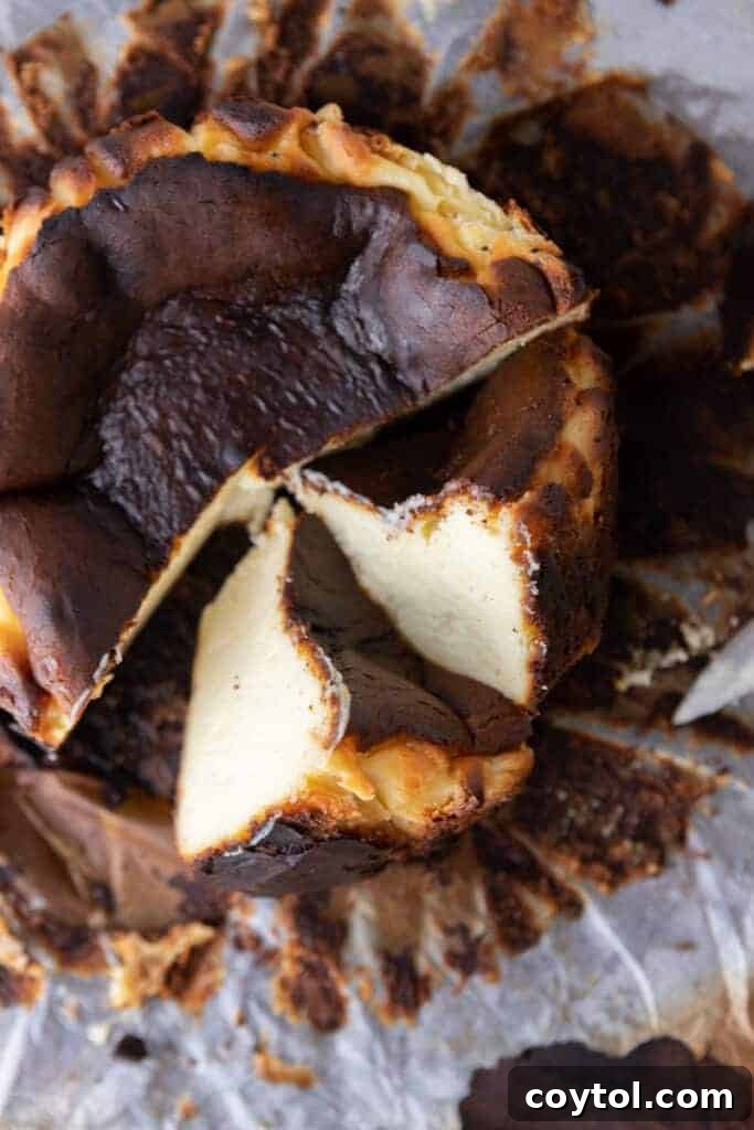 An overhead view of a 6-inch burnt Basque cheesecake, beautifully cut into individual slices.