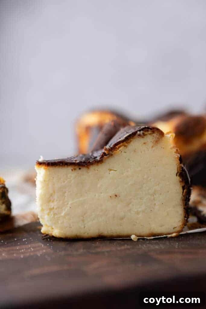 A beautiful side view of the 6-inch burnt Basque cheesecake, highlighting its signature dark crust and smooth interior.
