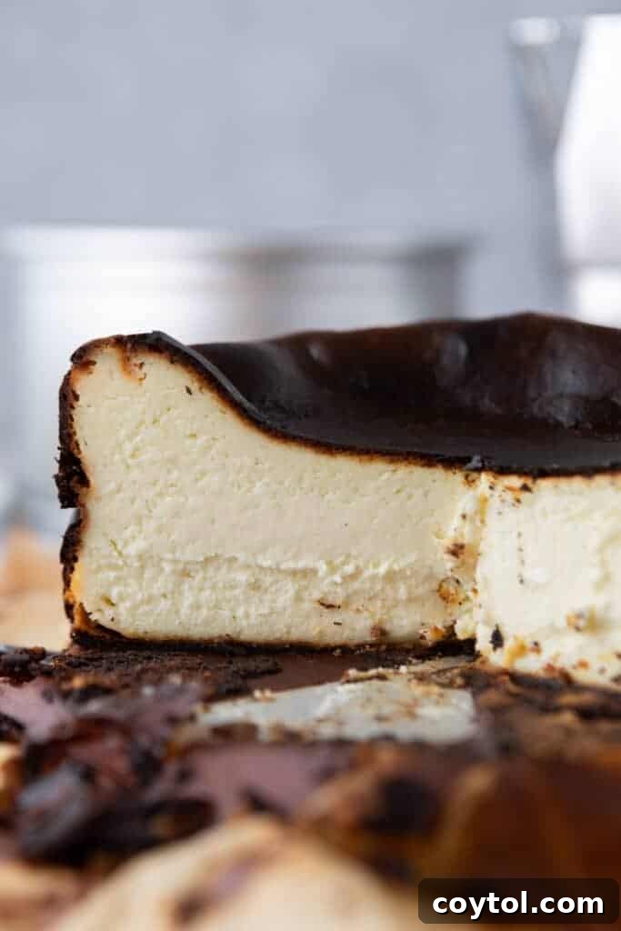 An elegant overhead view of the 6-inch burnt Basque cheesecake, showcasing its rustic beauty and readiness to be savored.