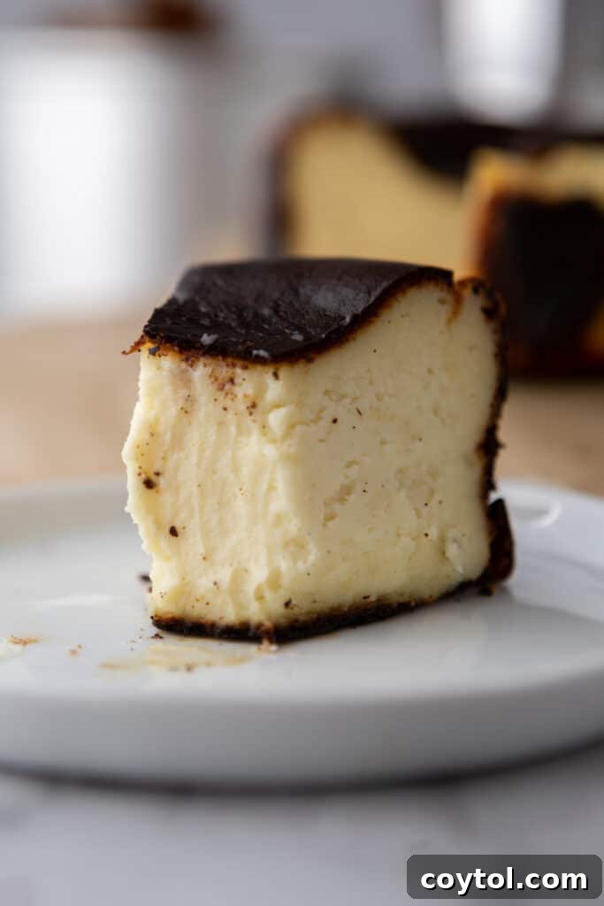 A stunning side profile of the perfectly baked 6-inch burnt Basque cheesecake, showcasing its iconic dark top and creamy interior.