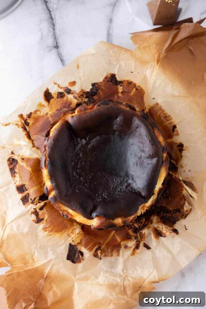 A freshly baked 6-inch burnt Basque cheesecake in its pan, with a beautifully dark and caramelized top.