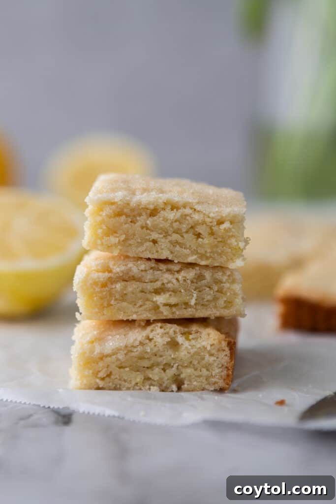 Close-up of freshly baked lemon sugar cookie bars, showcasing their soft texture and golden edges