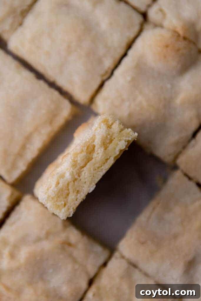 Close-up of golden-brown lemon sugar cookie bars, showing their soft texture and sugary topping