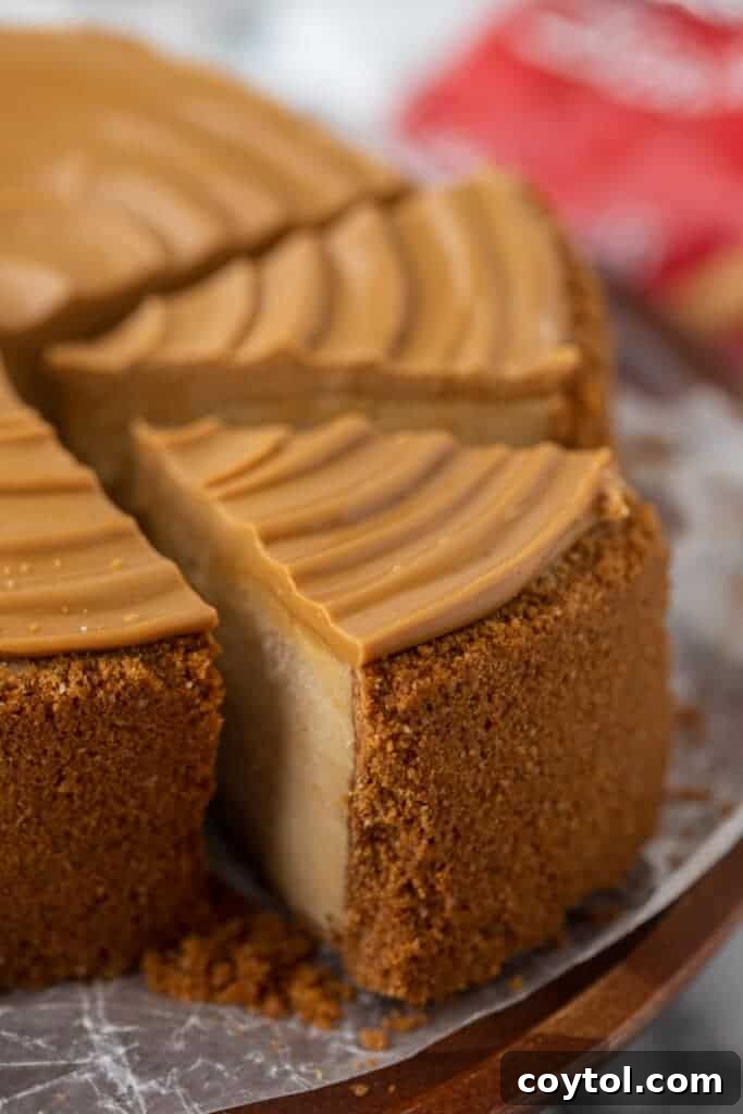 Close-up slice of rich and creamy 6-inch Biscoff Cheesecake with a golden cookie crust and smooth Biscoff topping