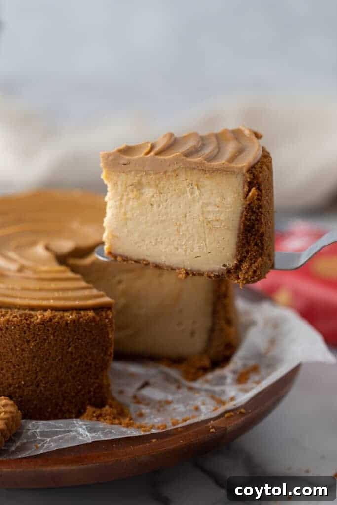 A slice of 6-inch Biscoff Cheesecake being served on a spatula