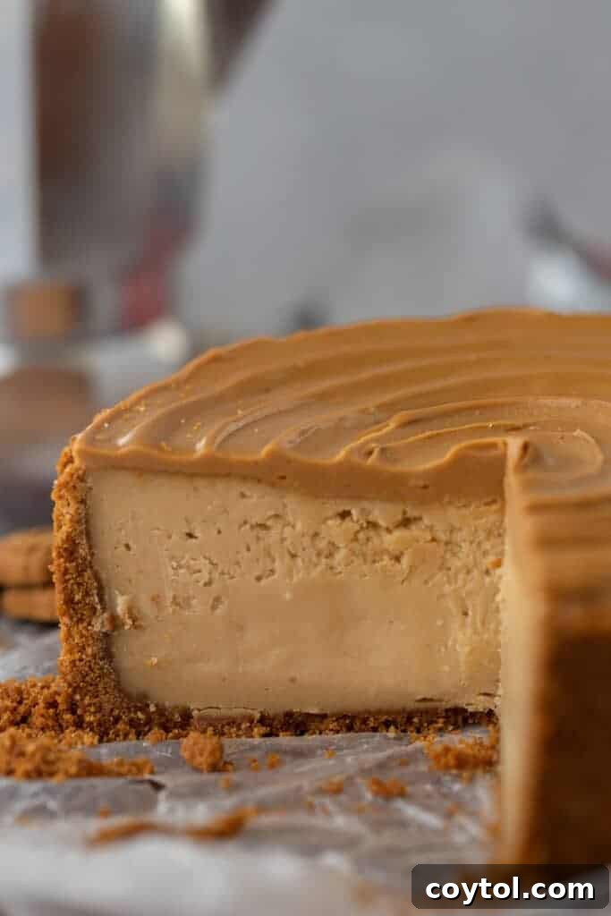Side view of a 6-inch cookie butter cheesecake, showing the distinct layers of crust, filling, and topping