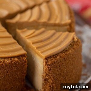 Close-up slice of rich and creamy 6-inch Biscoff Cheesecake with a golden cookie crust and smooth Biscoff topping