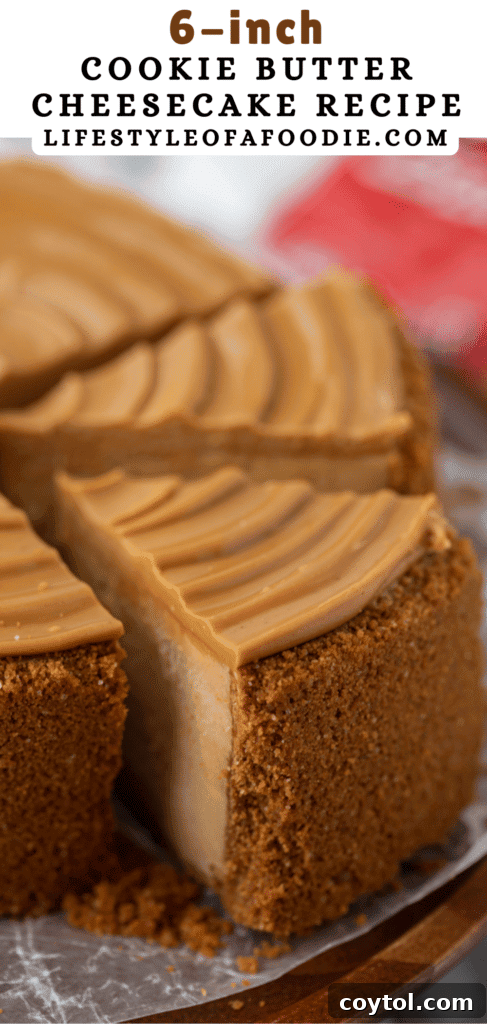 Pinterest pin for the 6-inch Biscoff Cheesecake Recipe, showcasing a beautiful slice