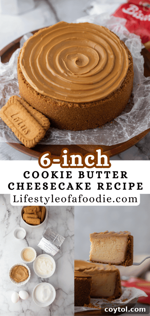 Another Pinterest pin image for the creamy 6-inch Biscoff Cheesecake