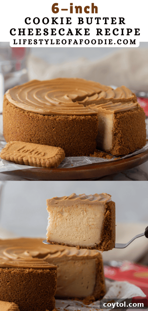 Pinterest pin featuring the elegant 6-inch cookie butter cheesecake
