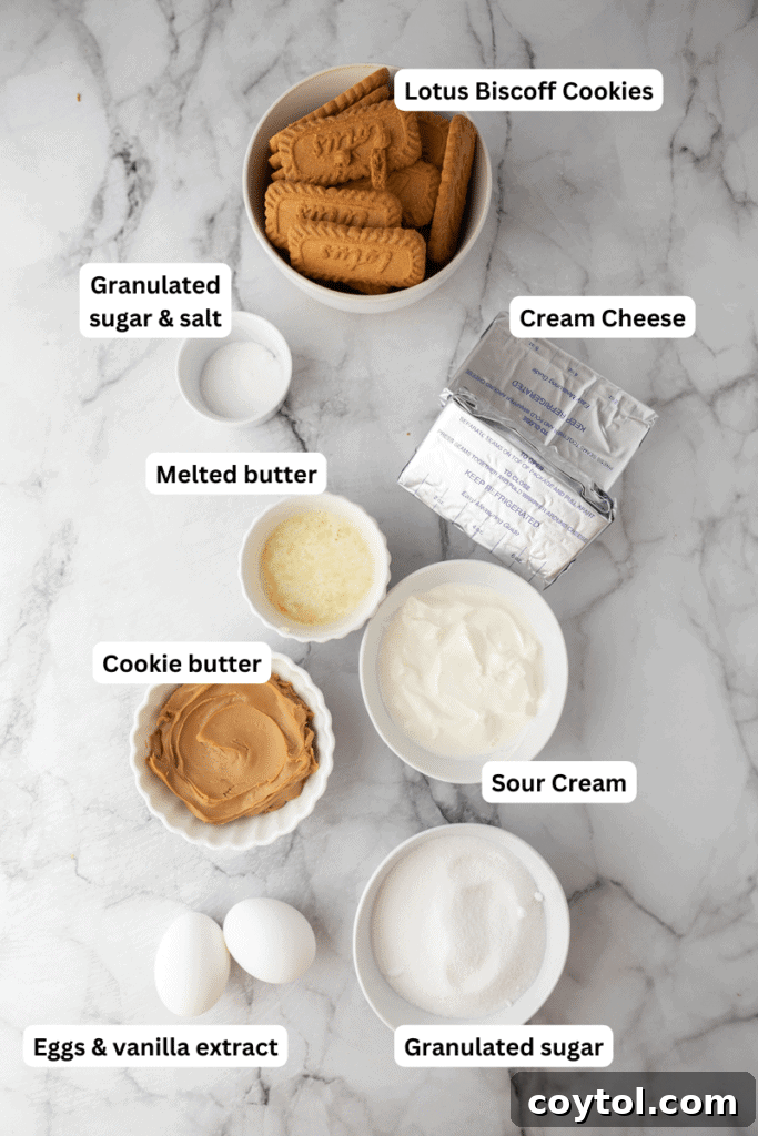 Collection of fresh ingredients for a 6-inch Biscoff Cheesecake Recipe, including Biscoff cookies, cream cheese, butter, and sugar