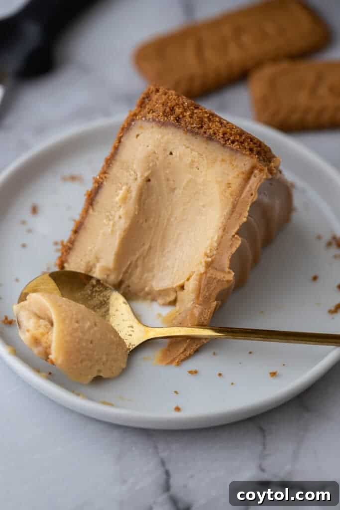 Close-up of a perfectly sliced 6-inch cookie butter cheesecake, showcasing its three delicious layers