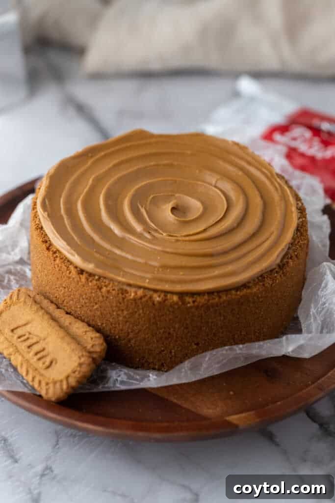 A fully baked 6-inch cookie butter cheesecake, ready for topping