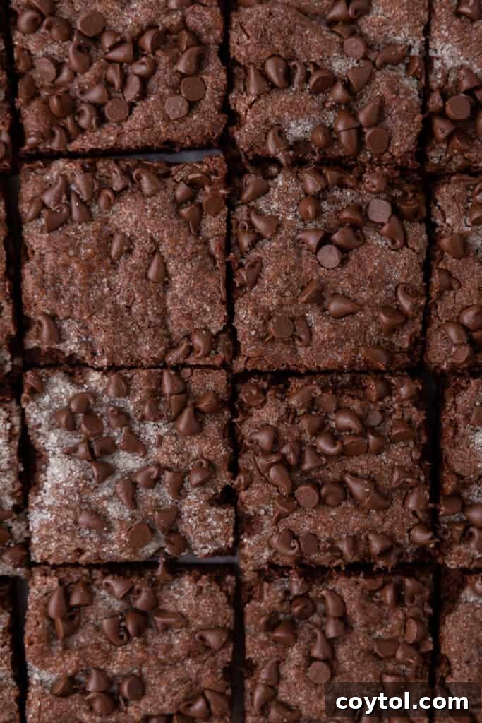 perfectly cut squares of rich chocolate sugar cookie bars on a cooling rack