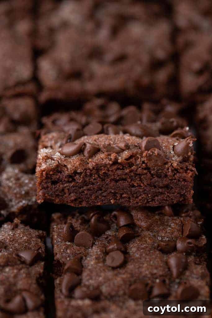 side view of a fully baked pan of chocolate sugar cookie bars, showcasing the moist interior