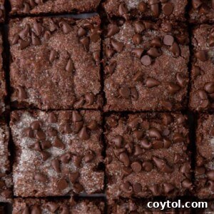 chocolate sugar cookie bars recipe cut into squares