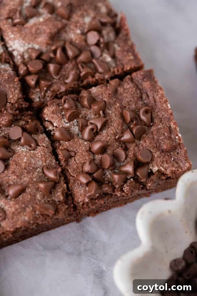 close-up shot of a perfectly cut chocolate sugar cookie bar, showcasing its texture
