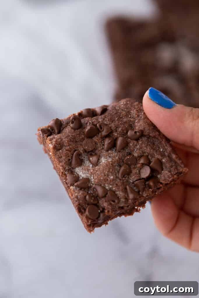 hand holding up a chocolate sugar cookie bar, showing its side profile