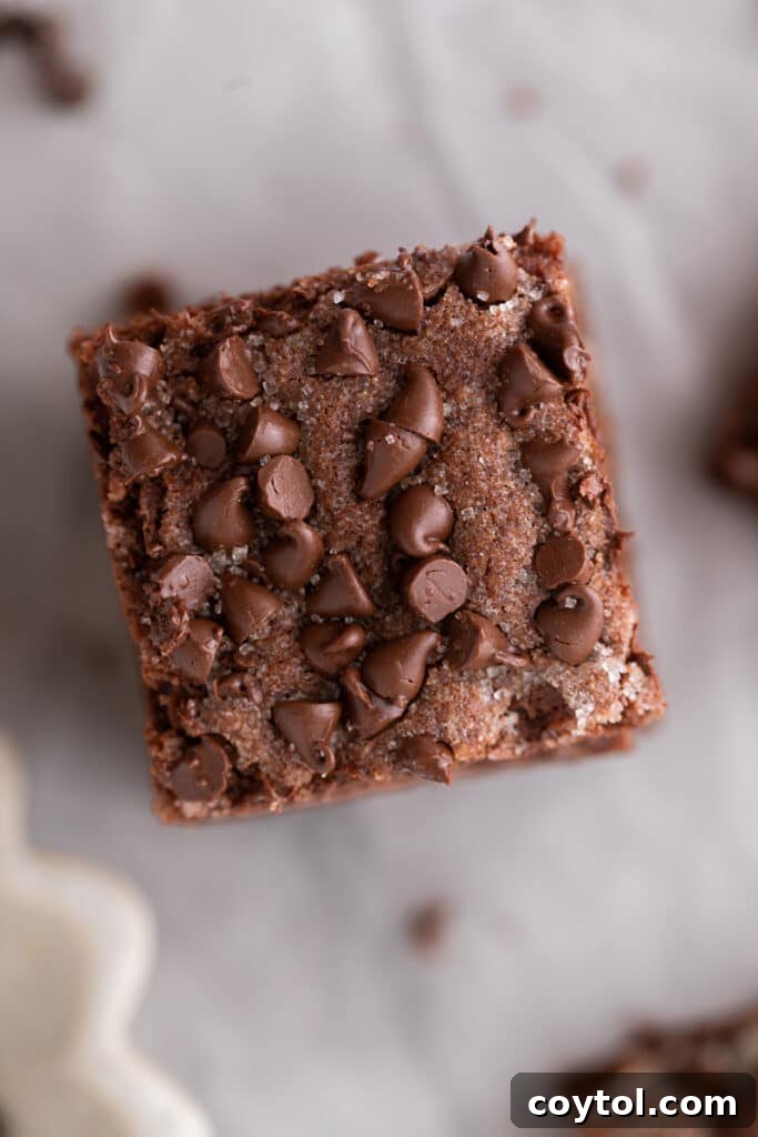 overhead view of the chocolate sugar cookie bars recipe, highlighting the chocolate chips