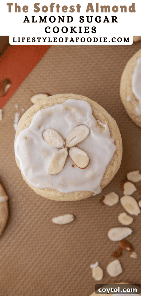 An inviting arrangement of several almond sugar cookies on a white surface