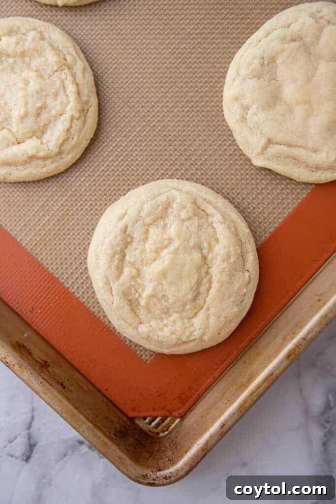 Freshly baked cookie on a baking sheet, slightly golden at edges