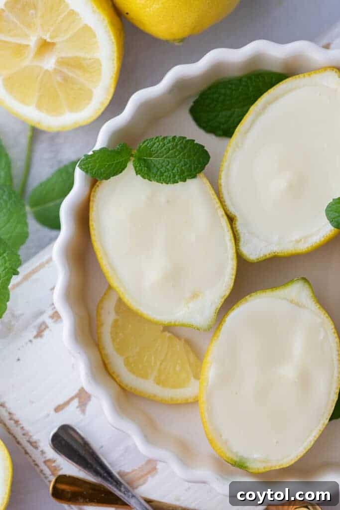 overhead shot of the easy lemon posset recipe