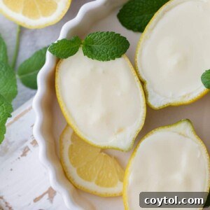 overhead shot of the easy lemon posset recipe