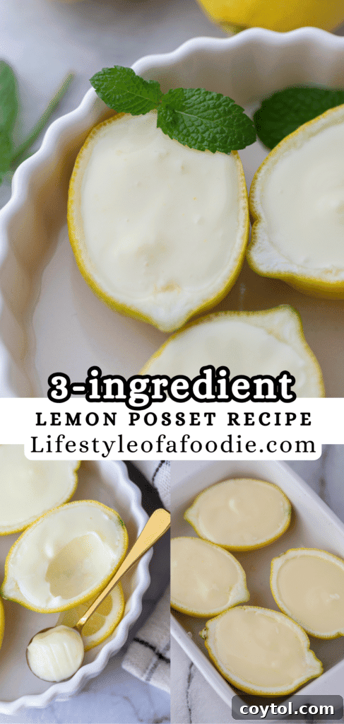 pinterest pin of the easy lemon posset recipe