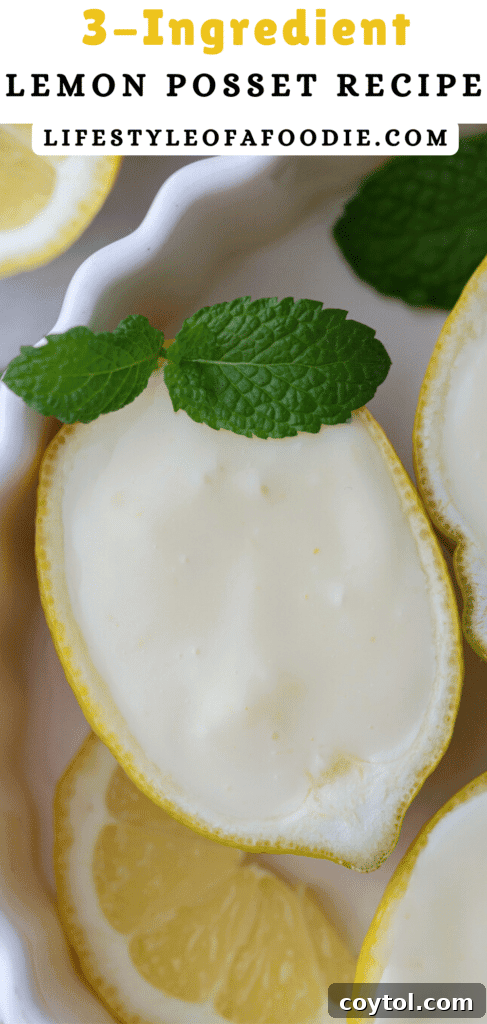 pinterest pin of the easy lemon posset recipe