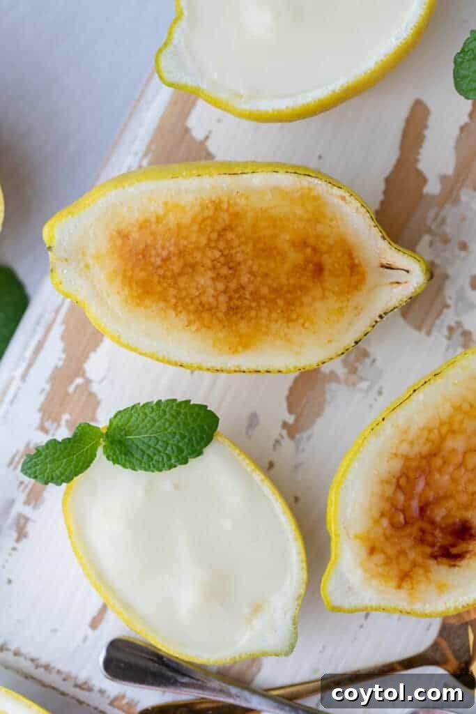 easy lemon posset recipe with one bruleed