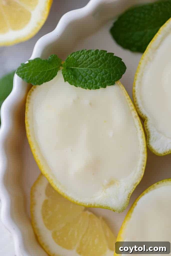 overhead shot of the easy lemon posset recipe with a mint