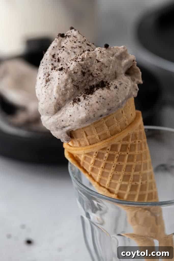 Ultimate Ninja Creami Cookies and Cream Perfection 2 side shot of the ninja creami cookies and cream recipe on a cone