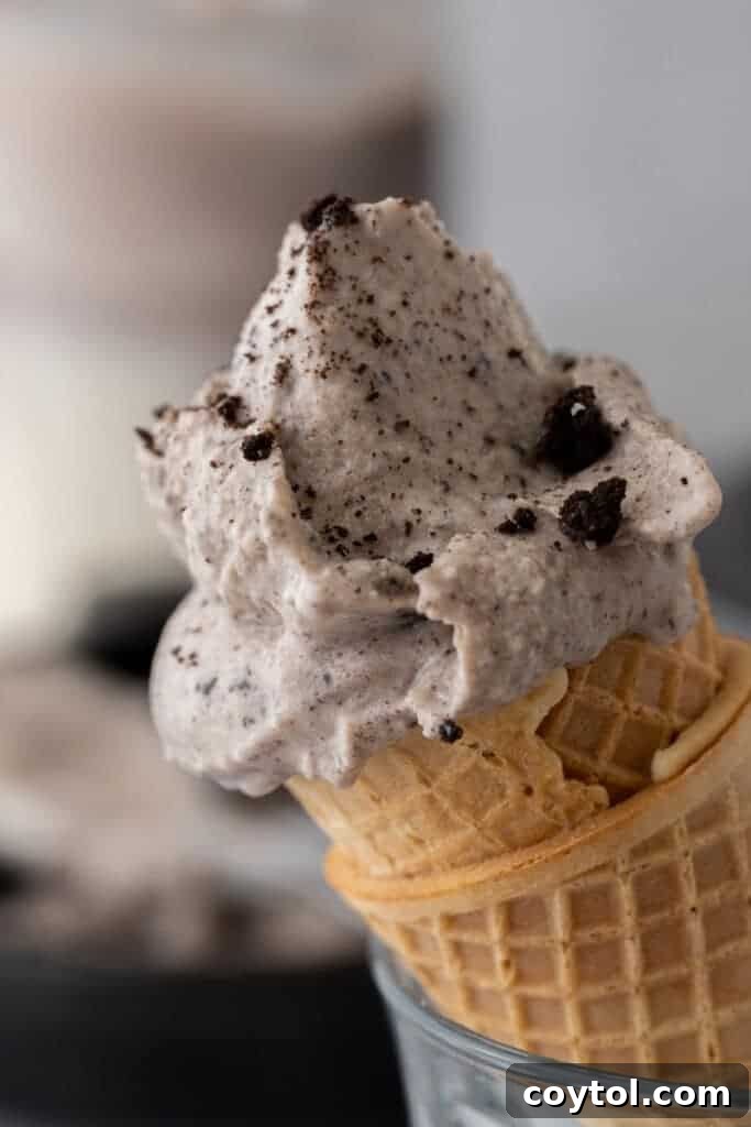 Ultimate Ninja Creami Cookies and Cream Perfection 13 close up of the ninja creami cookies and cream recipe in a cone