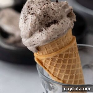 Ultimate Ninja Creami Cookies and Cream Perfection 15 side shot of the ninja creami cookies and cream recipe on a cone