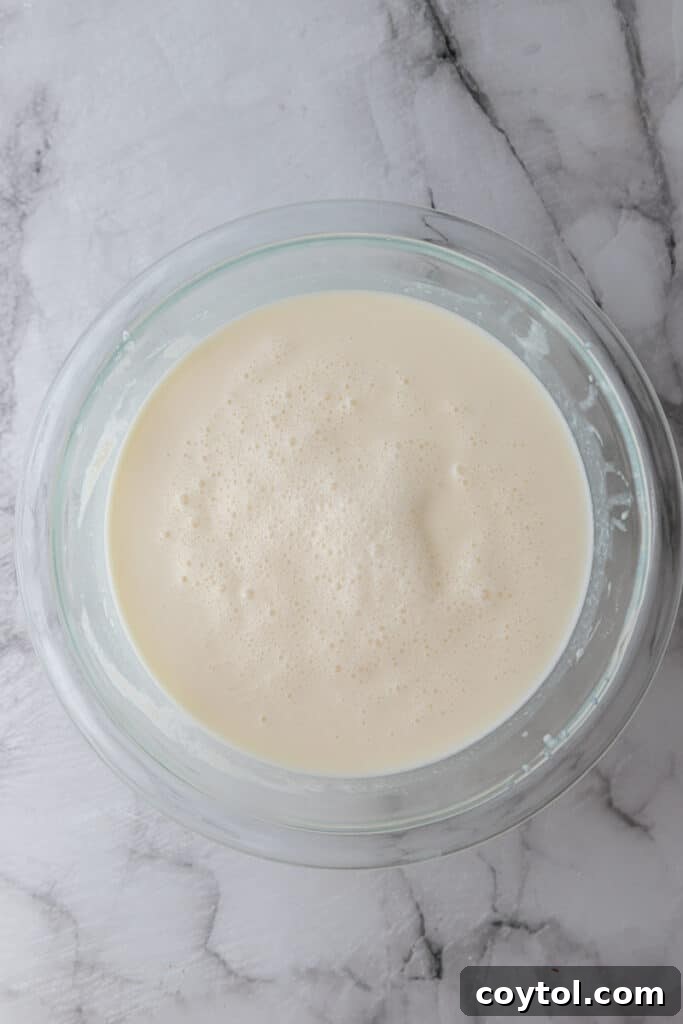 Ultimate Ninja Creami Cookies and Cream Perfection 5 ingredients in a bowl