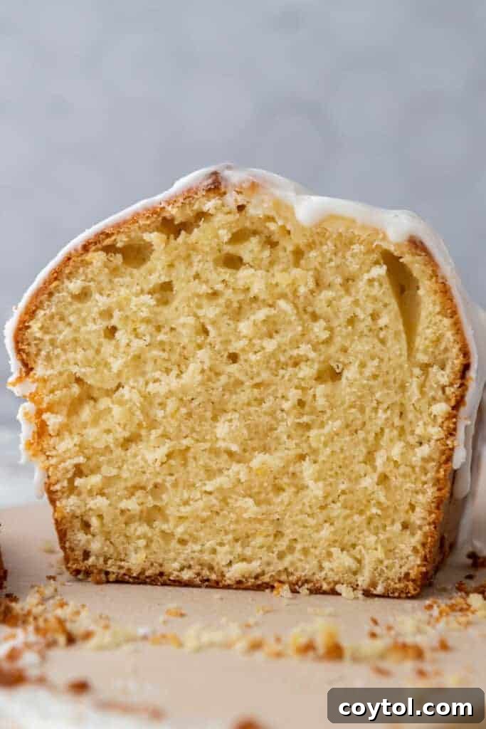Close-up side view of a slice of Whole Lemon Blender Cake